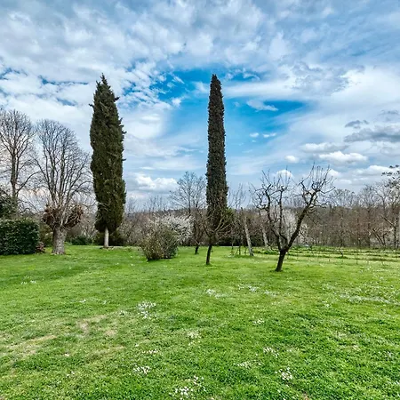Loft Con Vigna Sui Colli Bolognesi - Govi Pancaldi Tatil Evi