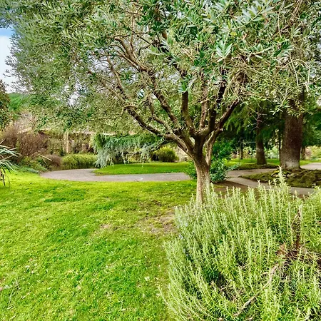 Loft Con Vigna Sui Colli Bolognesi - Govi Pancaldi Casa vacanze *