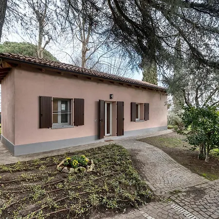 Loft Con Vigna Sui Colli Bolognesi - Govi Pancaldi Holiday home San Lazzaro di Savena