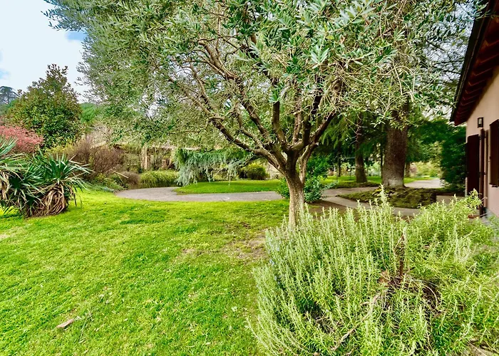 Loft Con Vigna Sui Colli Bolognesi - Govi Pancaldi Holiday home *